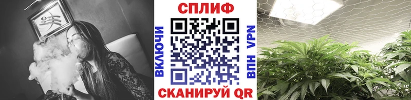 Бошки марихуана Amnesia  продажа наркотиков  Яблоновский 